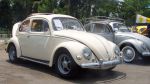 Volkswagen Beetle (VW Type 1)
